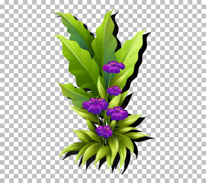 透明的热带花叶eps,ai矢量模版下载