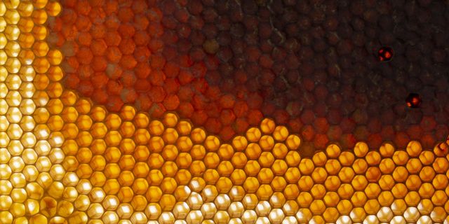 黄色蜂窝纹理