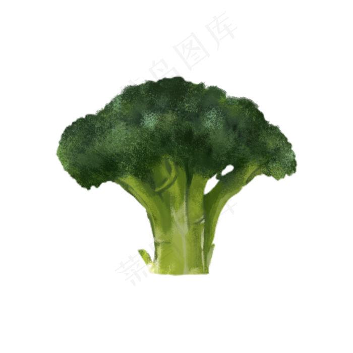 蔬菜西兰花(2000X2000(DPI:300))psd模版下载