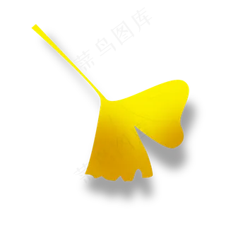 秋叶银杏叶秋天落叶可商用手绘元