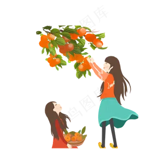 寒露时节摘柑橘的界面可商用元素