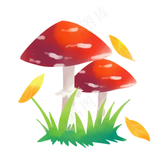 水彩秋季蘑菇花草