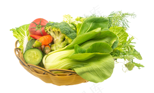 绿色蔬菜组合