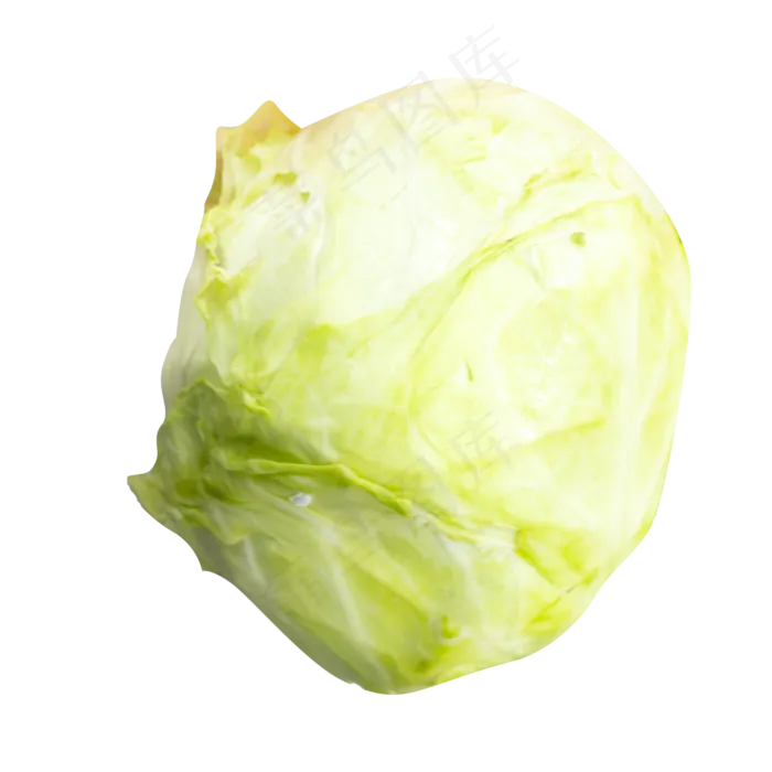 绿色大包菜(2500X2500(DPI:300))