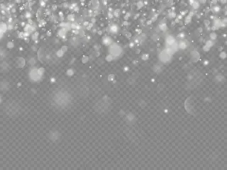 闪闪发光的魔法尘埃粒子被隔离在透明的背景上，白色的尘埃火花与星星闪耀着特殊的光芒，圣诞闪耀的灯光效果，闪耀着光芒，闪耀着光芒