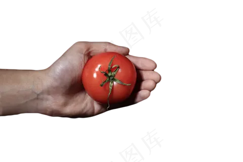 西红柿蔬菜纯天然