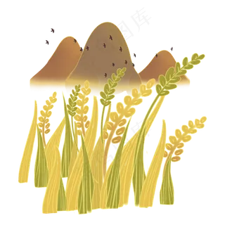 二十四节气植物立秋麦子免扣