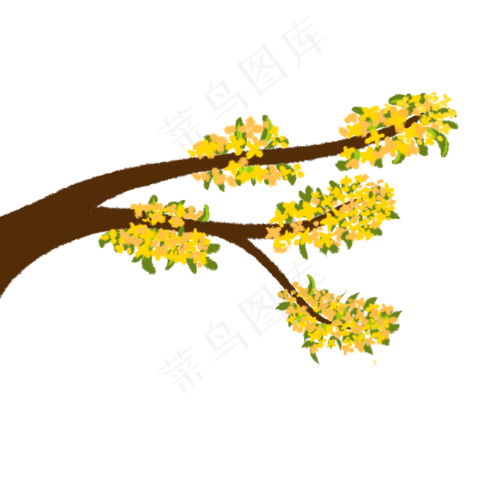 秋分桂花树枝(2500X2500(DPI:300))psd模版下载