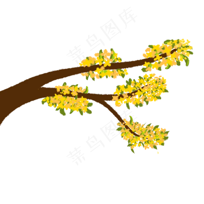 秋分桂花树枝(2500X2500(DPI:300))psd模版下载