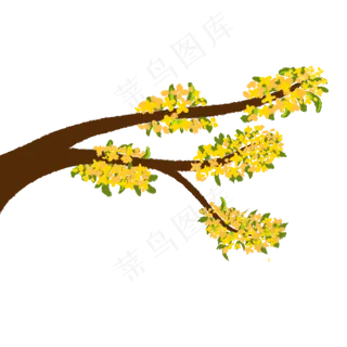 秋分桂花树枝