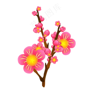 冬天粉色梅花花卉