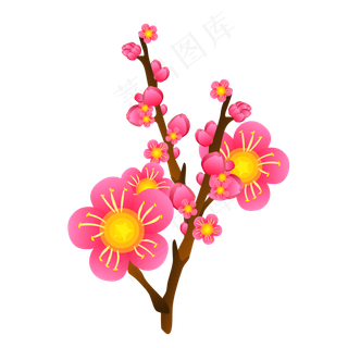 冬天粉色梅花花卉