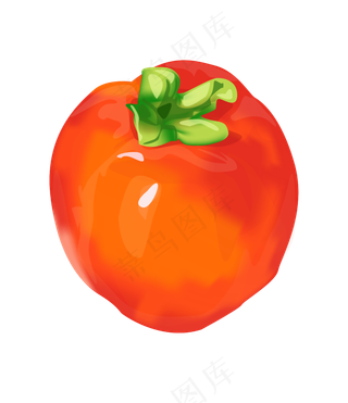 立秋丰收大柿子