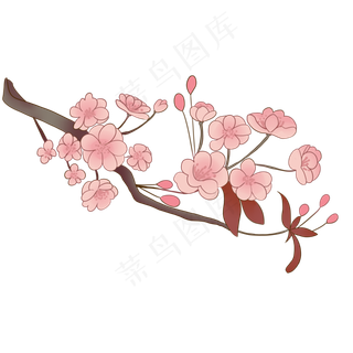 唯美古风的粉红色梅花