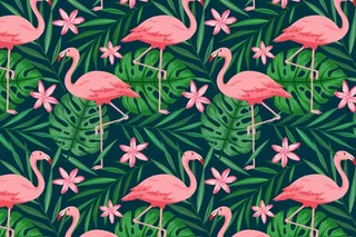 火烈鸟图案系列概念