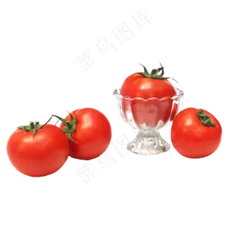 食材番茄西红柿