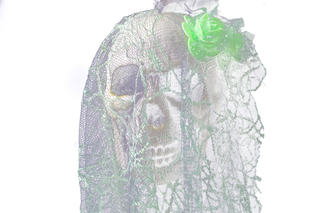 戴着绿色头纱的骷髅头