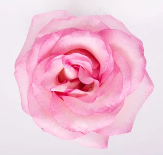 花 花