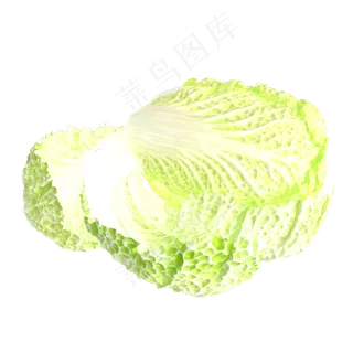 立体蔬菜大白菜 立体蔬菜大白菜