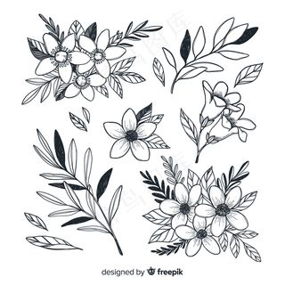 美丽花朵系列手绘风格