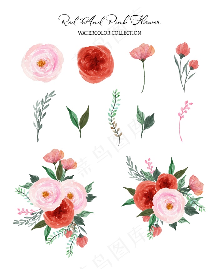一套红粉色的独立和花束水彩花
