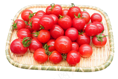 红色蔬菜西红柿
