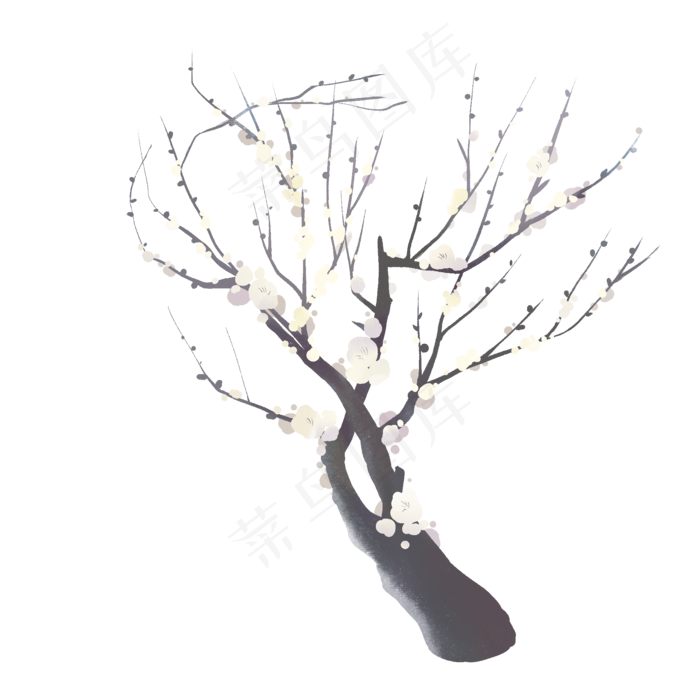 手绘花朵梅花白色单枝鲜花白梅(2000X2000(DPI:300))psd模版下载