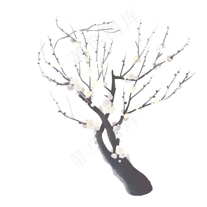 手绘花朵梅花白色单枝鲜花白梅(2000X2000(DPI:300))psd模版下载