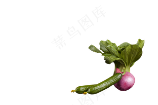 蔬菜黄瓜洋葱免扣元素