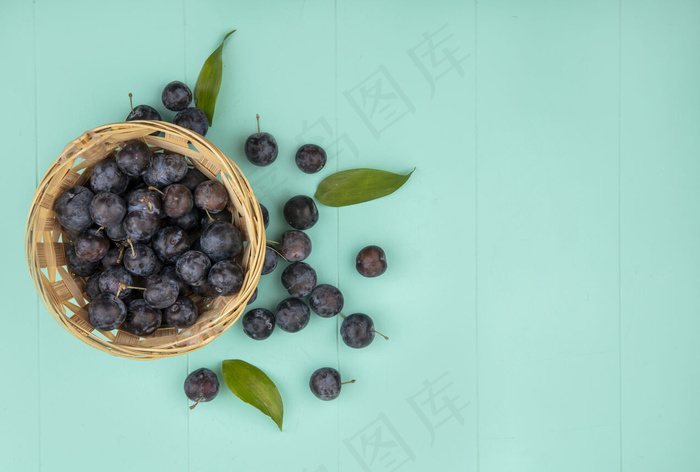 俯视图小的深色球形涩味水果树懒在一个蓝色背景上的叶子和复制空间