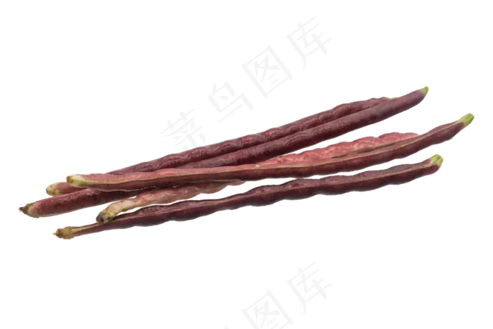 蔬菜豆角(2048X2048(DPI:300))