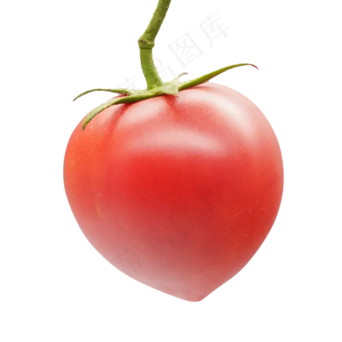 西红柿蔬菜(2000*2000px 300 dpi )
