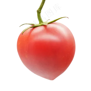 西红柿蔬菜 西红柿蔬菜