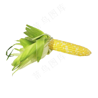 玉米苞蔬菜