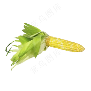 玉米苞蔬菜