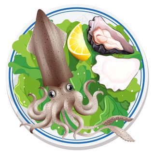 海鲜板块鸟瞰图