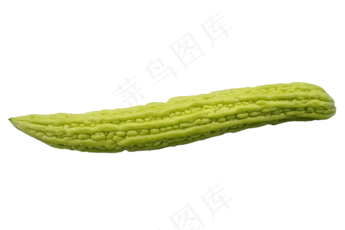 餐饮蔬菜苦瓜(2500X2500(DPI:300))