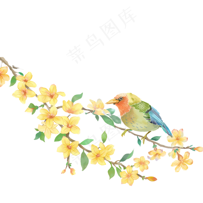 漂亮的花朵和小鸟,免抠元素