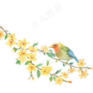 漂亮的花朵和小鸟,免抠元素