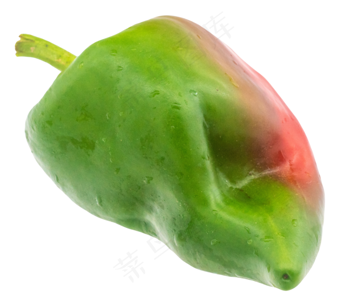 一个食材辣椒(3000X3000(DPI:300))