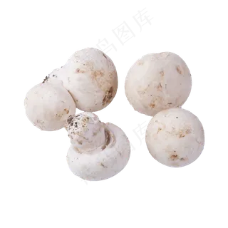 五个白蘑菇（png免抠）
