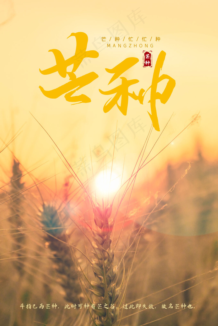 中国传统节日芒种(3545*5315px 	      )psd模版下载