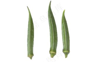 三根新鲜绿色秋葵