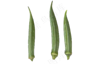 三根新鲜绿色秋葵