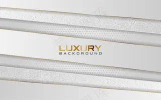 豪华浅银色背景，金色线条