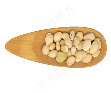 养生农作物大豆