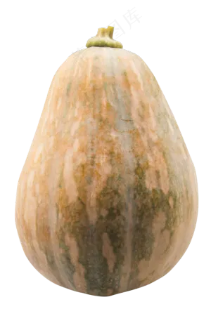 黄色椭圆南瓜