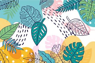 丰富多彩的夏季背景变焦