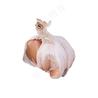 大蒜实拍（png免抠）