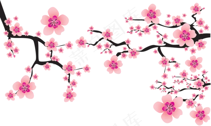 樱花开花植物免扣png 